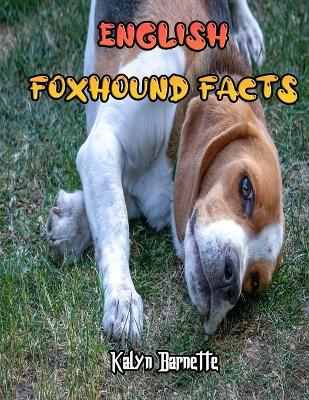 Book cover for English Foxhound Facts