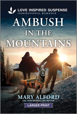Book cover for Ambush in the Mountains
