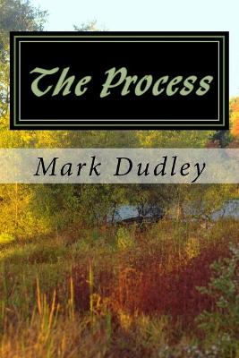 Book cover for The Process