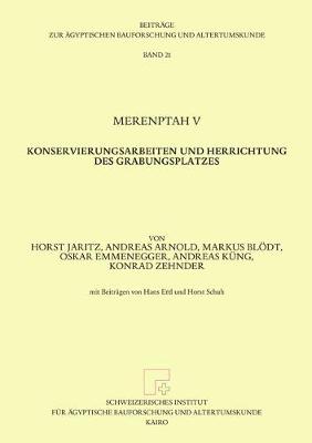 Cover of Merenptah V