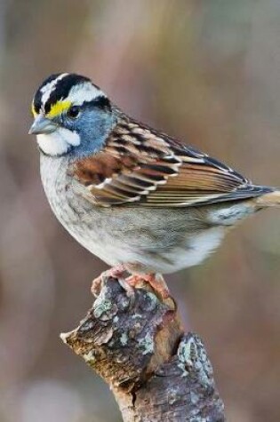 Cover of White-Throated Sparrow (Zonotrichia Albicollis) Bird Journal