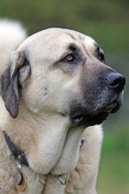 Book cover for The Anatolian Shepherd Dog Journal