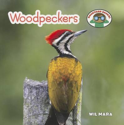 Book cover for Woodpeckers