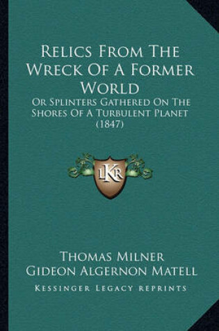 Cover of Relics from the Wreck of a Former World