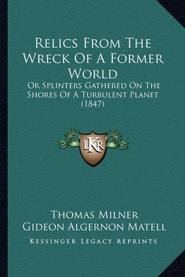 Book cover for Relics from the Wreck of a Former World