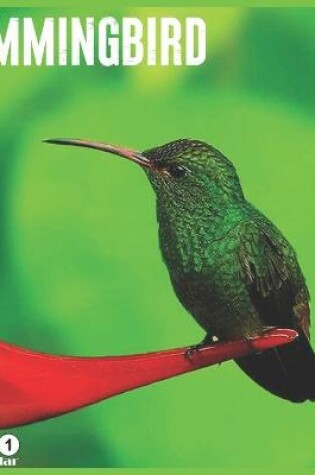 Cover of Hummingbird 2021 Calendar