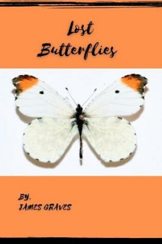 Cover of Lost Butterflies