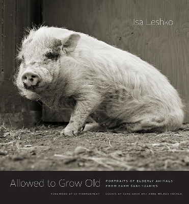 Book cover for Allowed to Grow Old