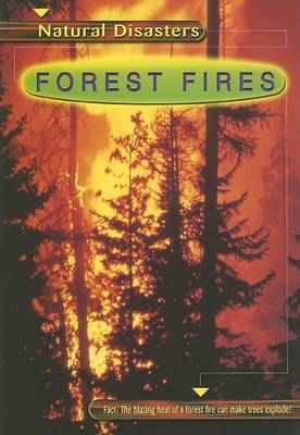 Book cover for Forest Fires