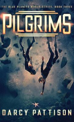 Book cover for Pilgrims