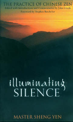 Book cover for Illuminating Silence