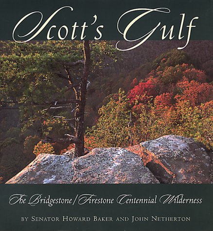 Book cover for Scott's Gulf