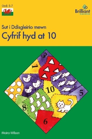 Cover of Sut i Ddisgleirio mewn Cyfrif hyd at 10