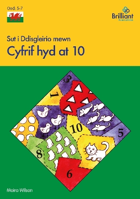 Book cover for Sut i Ddisgleirio mewn Cyfrif hyd at 10