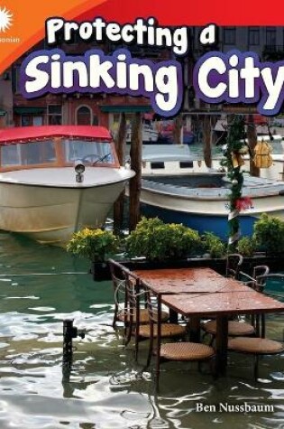 Cover of Protecting a Sinking City