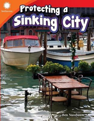 Book cover for Protecting a Sinking City
