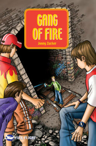 Cover of Gang of Fire