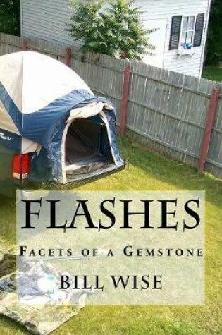 Cover of Flashes