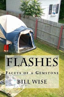 Book cover for Flashes