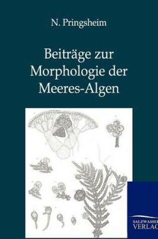 Cover of Beitrage zur Morphologie der Meeres-Algen