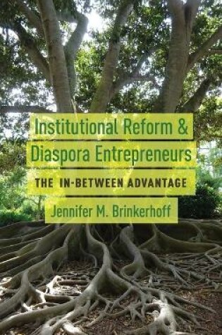 Cover of Institutional Reform and Diaspora Entrepreneurs