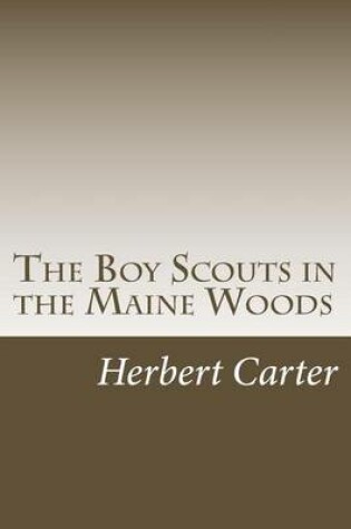 Cover of The Boy Scouts in the Maine Woods