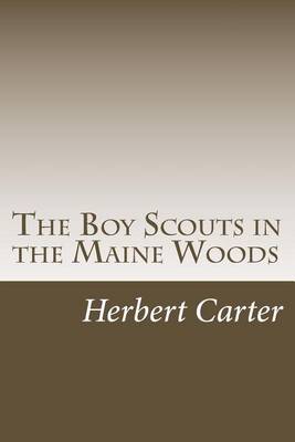 Book cover for The Boy Scouts in the Maine Woods