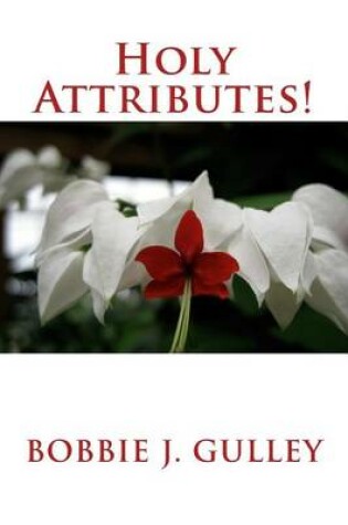 Cover of Holy Attributes!