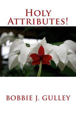 Book cover for Holy Attributes!