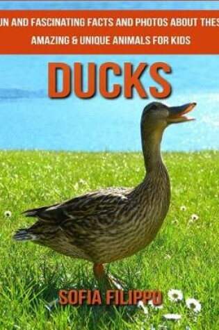 Cover of Ducks