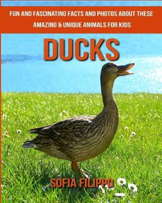 Book cover for Ducks