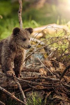 Cover of Bear Cub Notebook