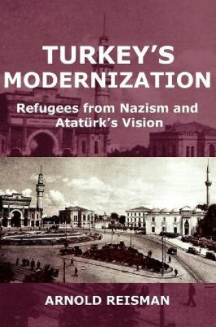 Cover of Turkey's Modernization