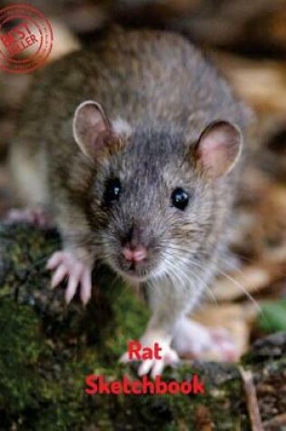 Cover of Rat Sketchbook