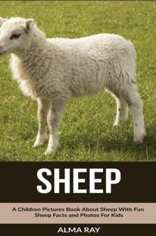 Cover of Sheep