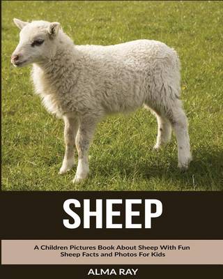 Book cover for Sheep
