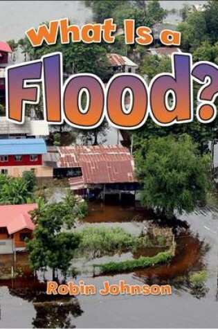 Cover of What Is a Flood?