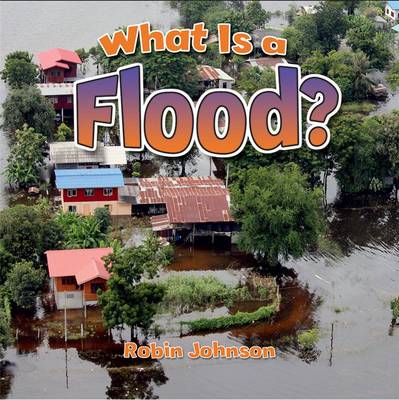 Cover of What Is a Flood?