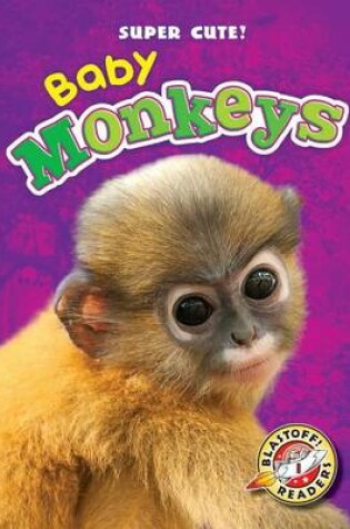 Cover of Baby Monkeys