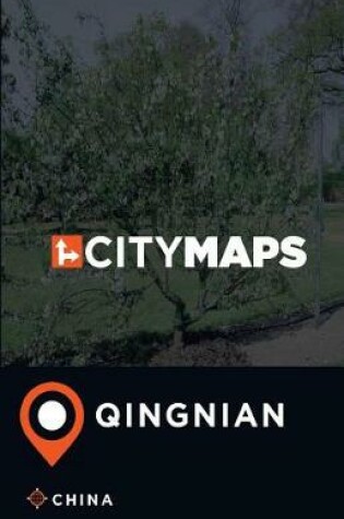 Cover of City Maps Qingnian China