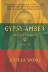 Book cover for Gypsy Amber