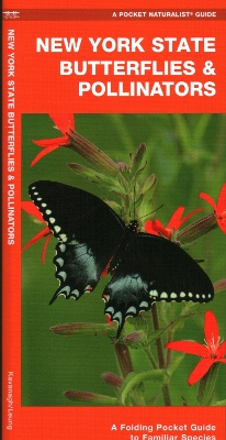 Book cover for New York State Butterflies & Pollinators