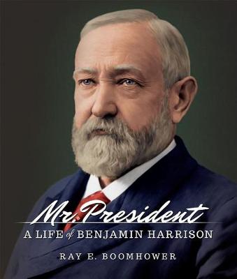 Book cover for Mr. President