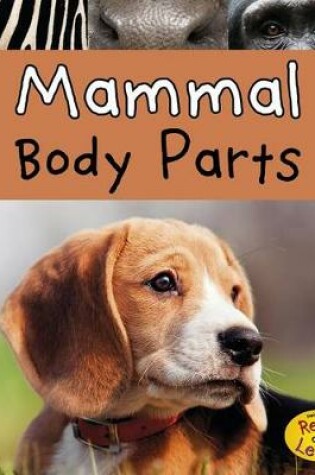Cover of Mammal Body Parts (Animal Body Parts)