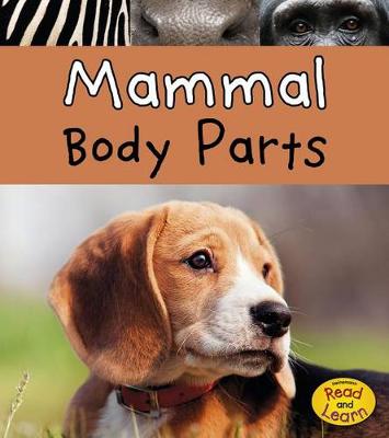 Book cover for Mammal Body Parts (Animal Body Parts)