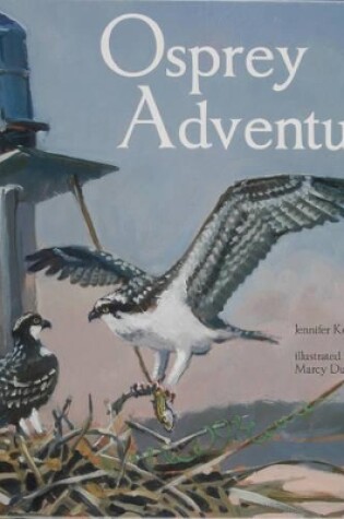 Cover of Osprey Adventure