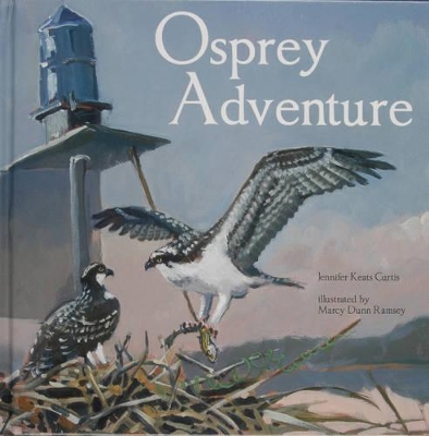 Book cover for Osprey Adventure