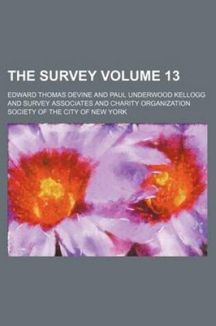 Cover of The Survey Volume 13