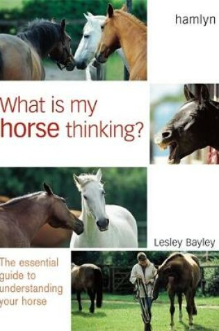 Cover of What is My Horse Thinking?