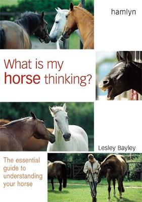 Book cover for What is My Horse Thinking?